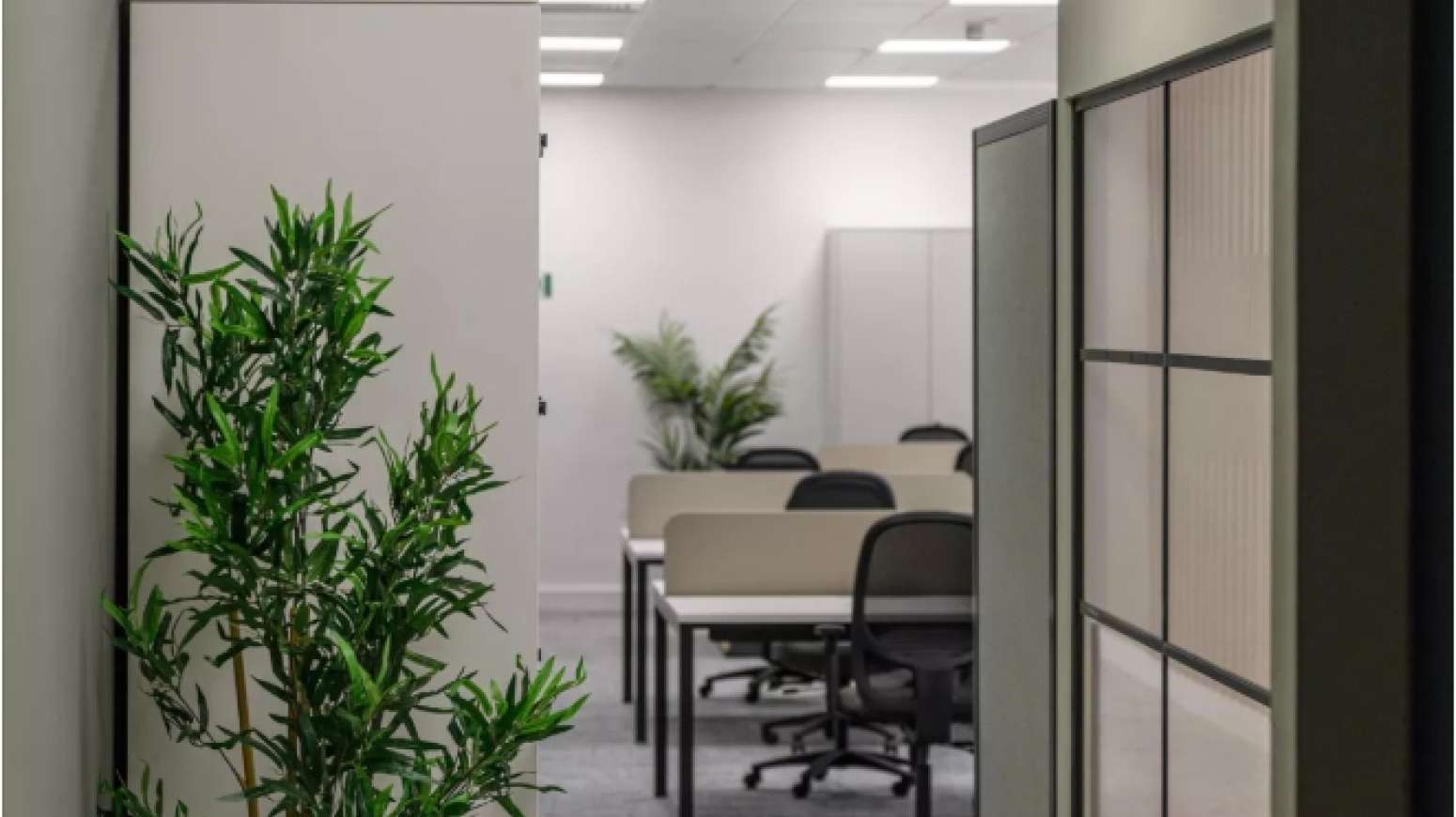 Corridor between kitchen tea point and open plan office, shows planting and lockers