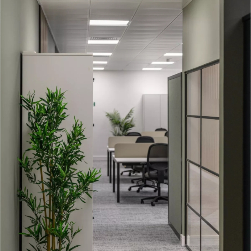 Corridor between kitchen tea point and open plan office, shows planting and lockers