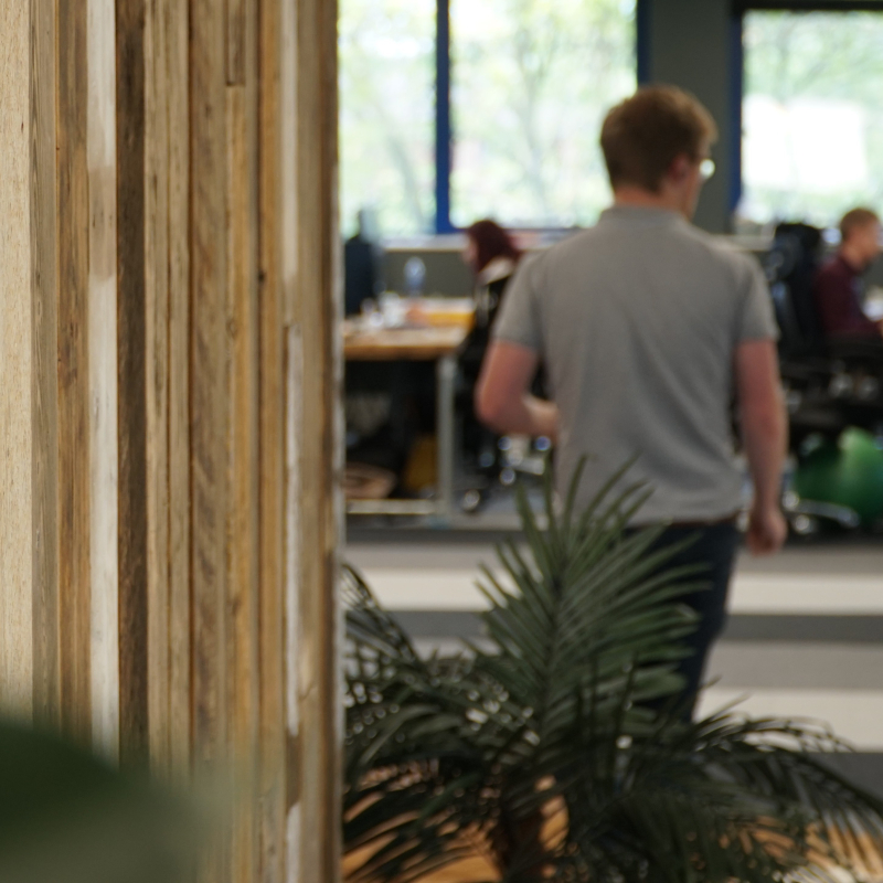 joinery wall feature with planting and people